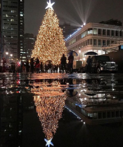 Фото: instagram.com/southstreetseaport